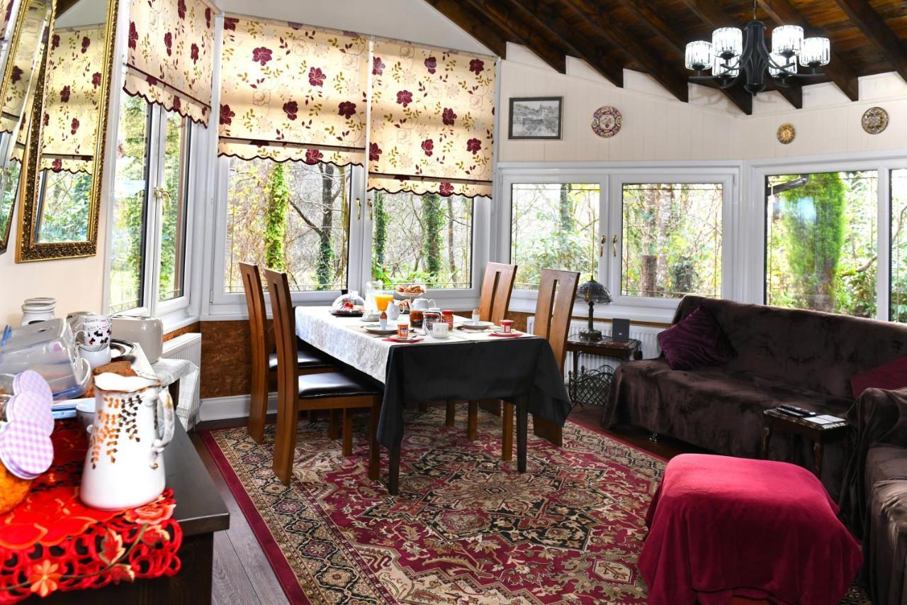 Bed and Breakfast Cilbrwyn Swansea Zewnętrze zdjęcie
